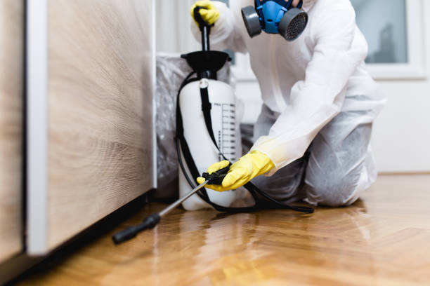 Wildlife Control Services in Hudson, WI