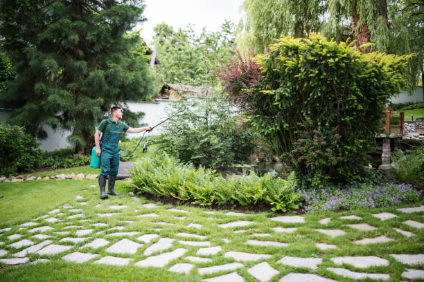 Best Affordable Exterminators  in Hudson, WI