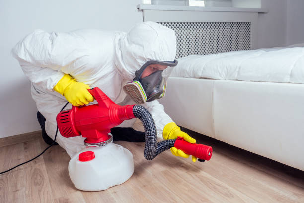 Best Pest Control Near Me in Hudson, WI
