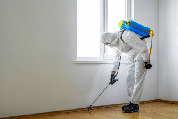 Best Bed Bug Extermination  in Hudson, WI