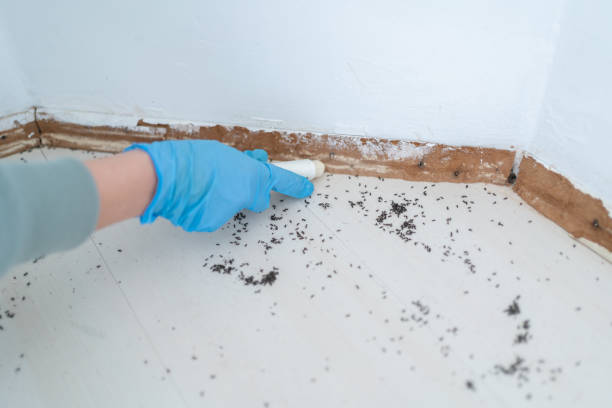 Best Affordable Pest Control Services  in Hudson, WI